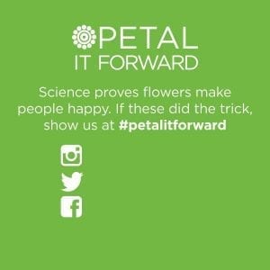 Green stickers on the bouquets and the SAF “street team” encouraged consumers, to post selfies with their flowers using the hashtag #petalitforward on social media.