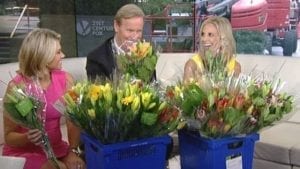 More than 29 million viewers across the nation watched the hosts of “Fox & Friends” talk live about Petal It Forward. This segment further shared by other national media outlets helped the number of impressions soar. 