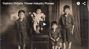 Yoshimi Shibata’s floral industry and family life are documented in a brief video, first screened at the CalFlowers Fun ‘n Sun conference in Monterey, California, when he was awarded the CalFlowers 2015 Distinguished Service Award. 