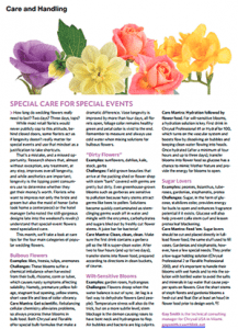 In the March issue of Floral Management, Gay Smith, technical consulting manager at Chrysal USA, shares her top care tips relating to popular wedding flowers. 