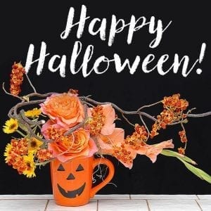 The Society of American Florists provides members with a library of Halloween graphics sized for website banner ads and social media.