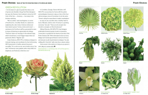 pantone's color of the year 'greenery'