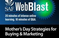 Free WebBlast to Reveal Mother's Day Strategies for Buying and Marketing