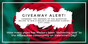 On Monday, January 29, Welke's Milwaukee Florist gave a free gift card to the first person who could correctly answer the Facebook query, "How many years has Welke's been 'delivering love' to the Milwaukee community for Valentine's Day?" (Answer: 117.)