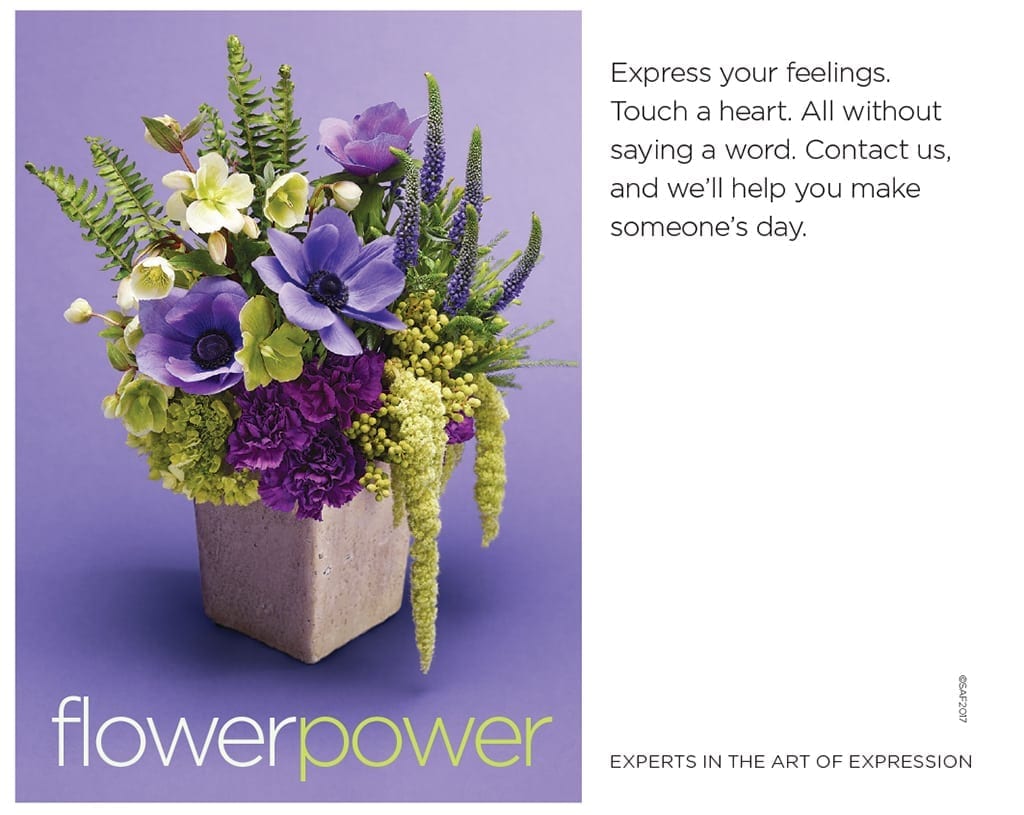SAF_Marketing_Kit_2017_FlowerPower_Ad_5x4_V1.indd