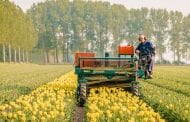 SAF Weighs In On The Proper Regulation of Pesticides