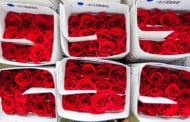 With Addition of Roses to GSP, Industry Businesses Stand to Save Tens of Millions
