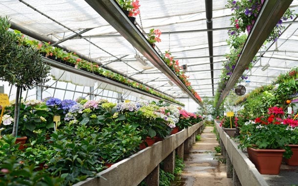 USDA Report: 2020 Wholesale Value of Floriculture Crops Increased