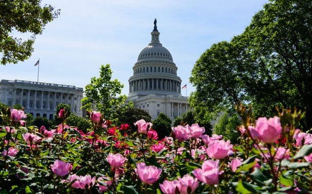 Make a Congressional Connection this Summer