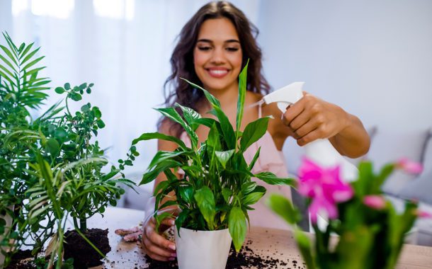 Tap Into Plant Power