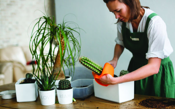 Create Care Sheets to Help New Plant Parents Succeed